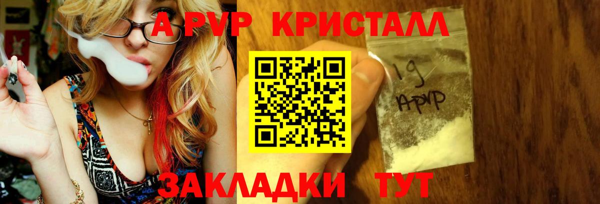 Альфа ПВП  хочу наркоту  Ноябрьск  Вход с VPN  APVP крисы CK  A-PVP крисы CK  A PVP СК КРИС 