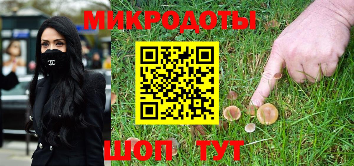 наркошоп  Галлюциногенные грибы Psilocybine cubensis  Вход с VPN  Ноябрьск 
