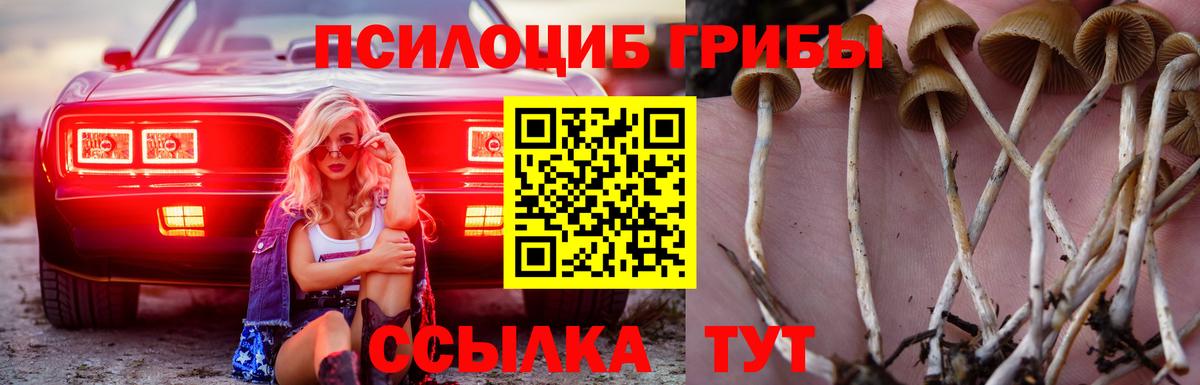 Галлюциногенные грибы ЛСД Ноябрьск